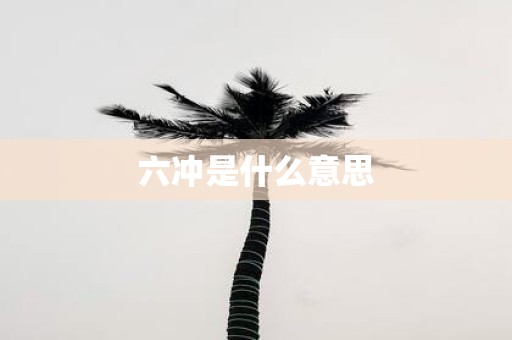 六冲是什么意思