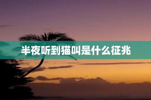 半夜听到猫叫是什么征兆