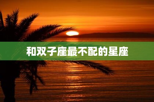 和双子座最不配的星座