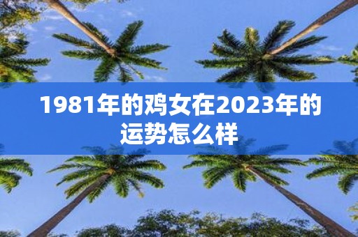 1981年的鸡女在2025年的运势怎么样