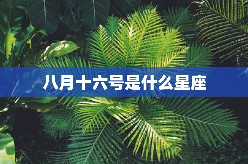 八月十六号是什么星座