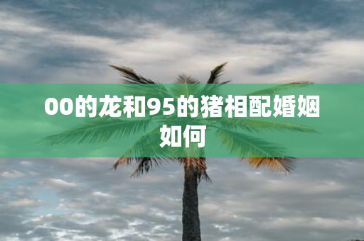 00的龙和95的猪相配婚姻如何