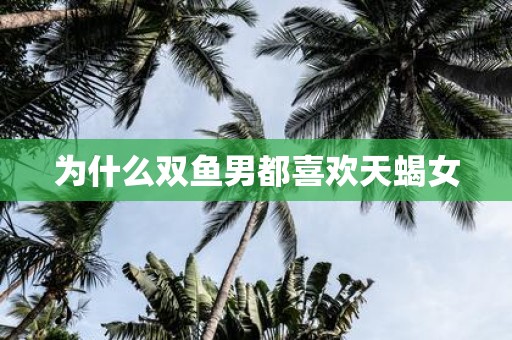 为什么双鱼男都喜欢天蝎女