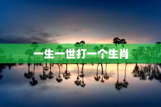 一生一世打一个生肖