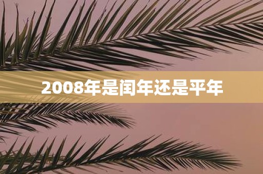 2008年是闰年还是平年