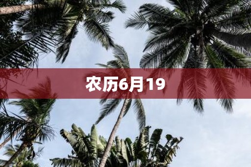 农历6月19