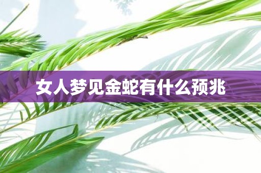 女人梦见金蛇有什么预兆