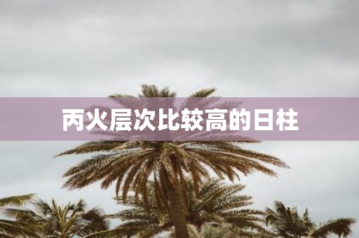 丙火层次比较高的日柱