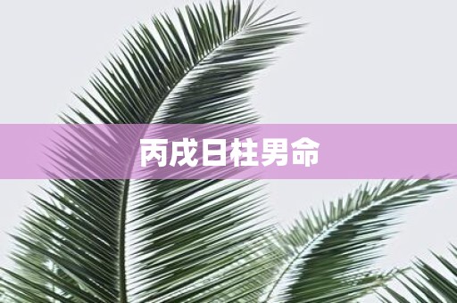 丙戌日柱男命