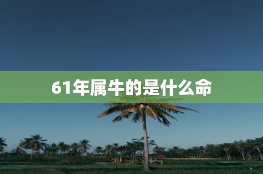 61年属牛的是什么命
