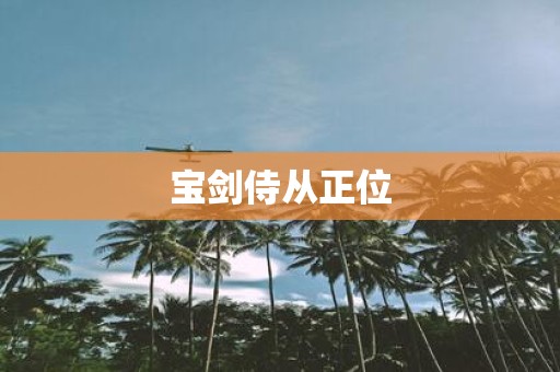 宝剑侍从正位