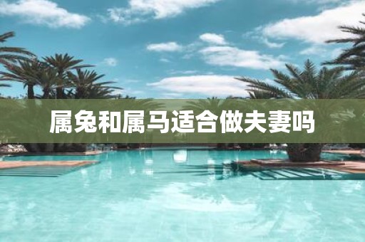 属兔和属马适合做夫妻吗