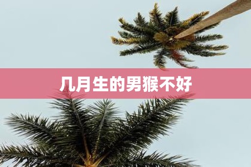 几月生的男猴不好