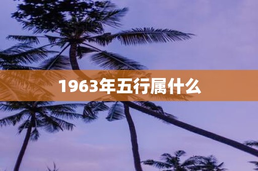 1963年五行属什么