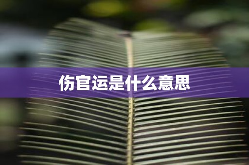 伤官运是什么意思