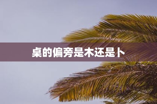 桌的偏旁是木还是卜