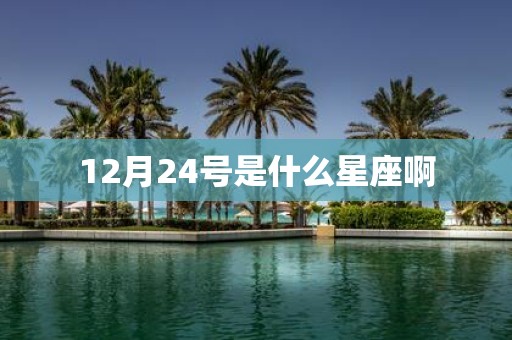 12月24号是什么星座啊