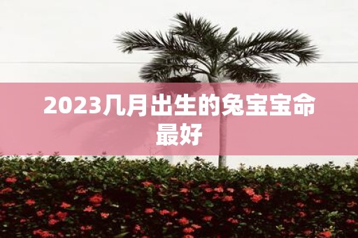 2025几月出生的兔宝宝命最好