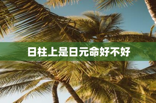 日柱上是日元命好不好