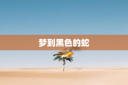 梦到黑色的蛇