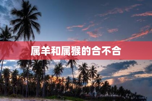 属羊和属猴的合不合