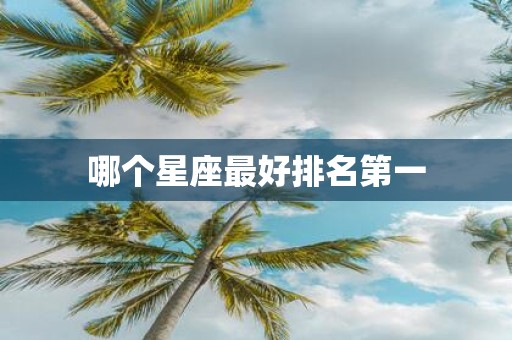 哪个星座最好排名第一