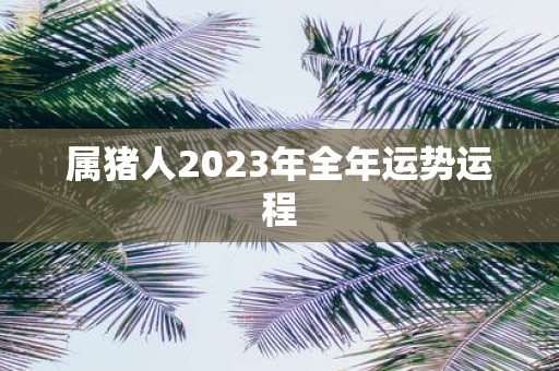 属猪人2025年全年运势运程