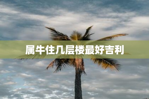 属牛住几层楼最好吉利