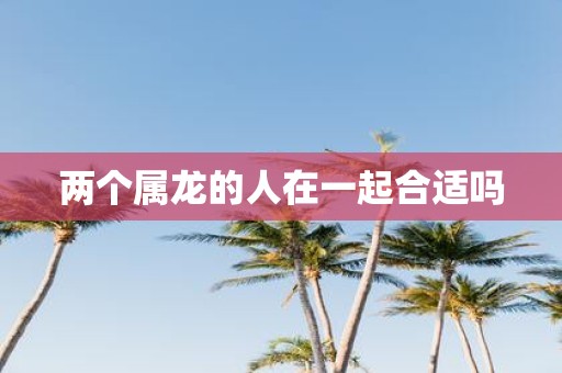 两个属龙的人在一起合适吗