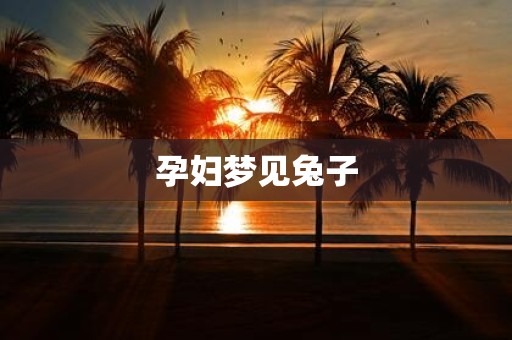 孕妇梦见兔子