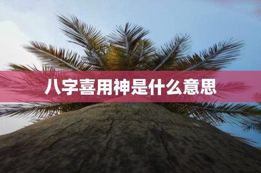 八字喜用神是什么意思