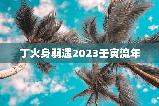 丁火身弱遇2025壬寅流年