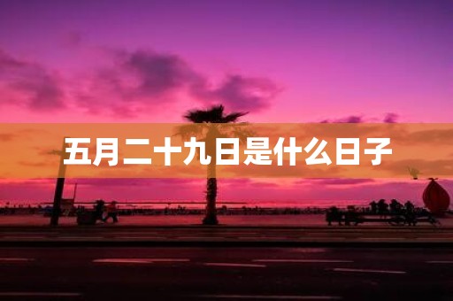 五月二十九日是什么日子