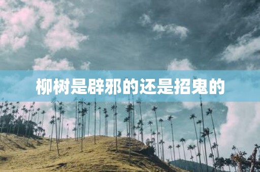 柳树是辟邪的还是招鬼的
