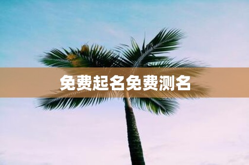 免费起名免费测名