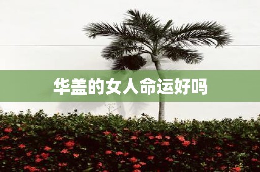 华盖的女人命运好吗
