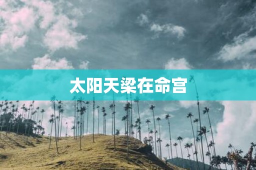 太阳天梁在命宫
