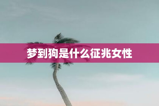 梦到狗是什么征兆女性