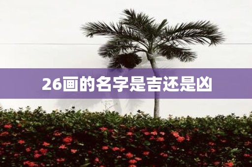 26画的名字是吉还是凶