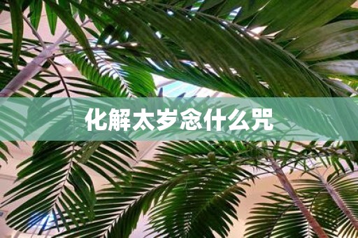 化解太岁念什么咒