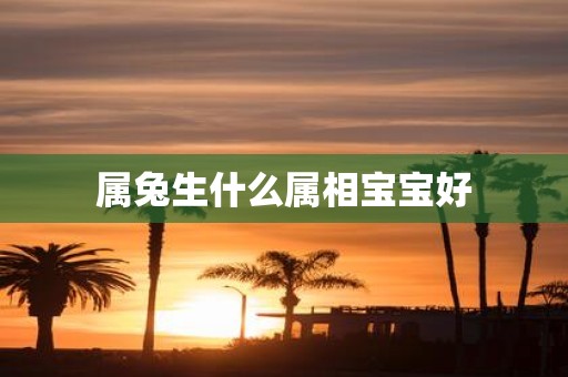 属兔生什么属相宝宝好