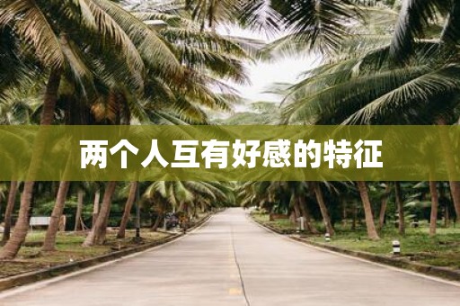 两个人互有好感的特征