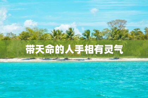 带天命的人手相有灵气