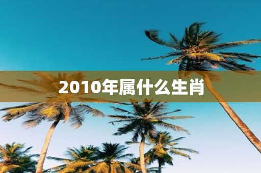 2010年属什么生肖