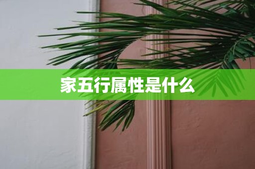 家五行属性是什么