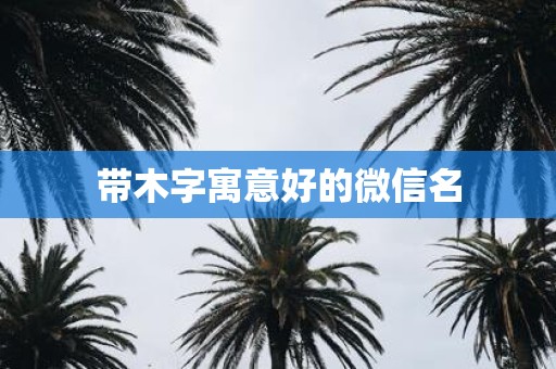 带木字寓意好的微信名