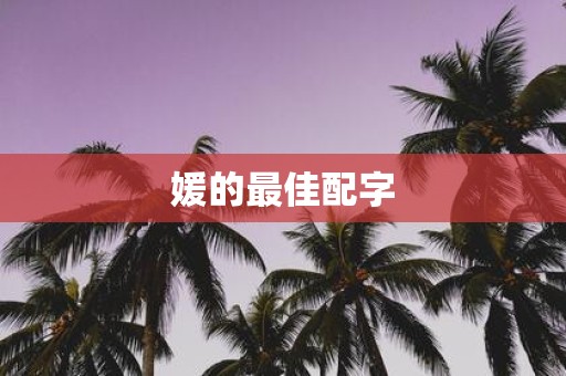 媛的最佳配字