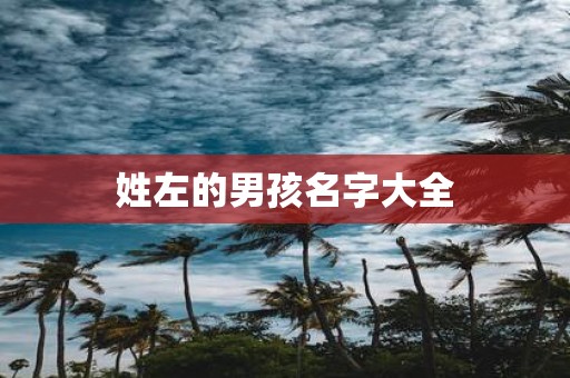 姓左的男孩名字大全