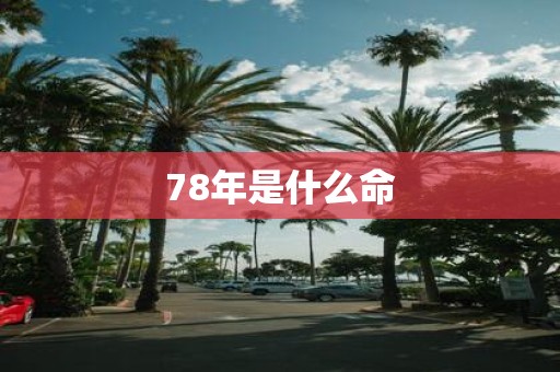 78年是什么命