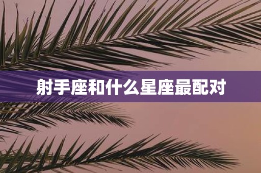 射手座和什么星座最配对